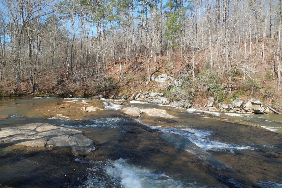 A stream with its surrounding landscapes at Emerson