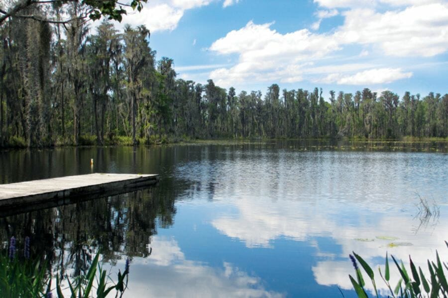 A calm and tranquil Hillsborough River surrounded by trees