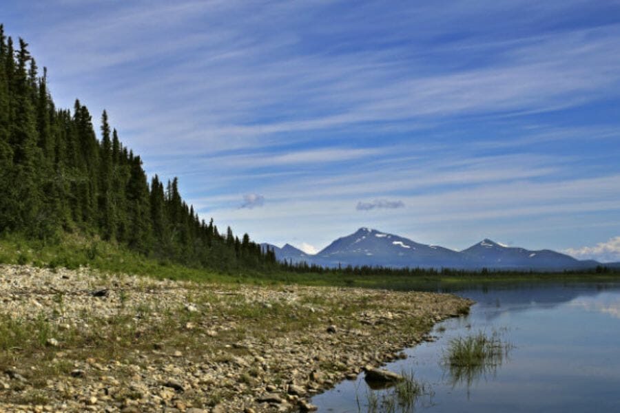 A view of the Kobuk River with a rocky shore and surrounding trees