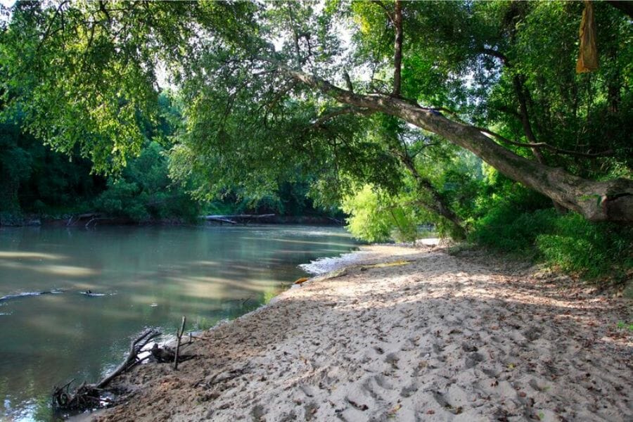 Calm and serene Amite River with its nearby trees
