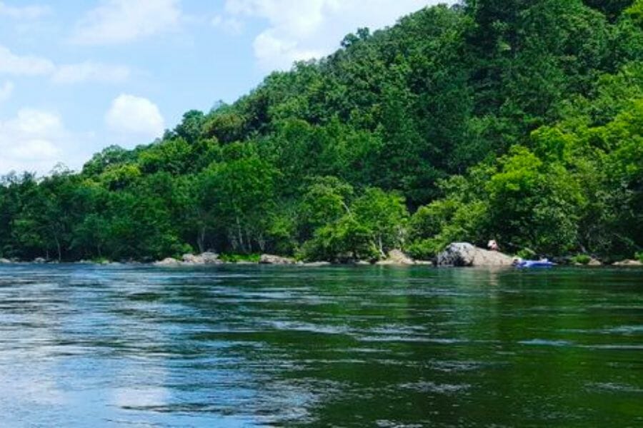 A view of the Ouachita River and its surrounding greeneries