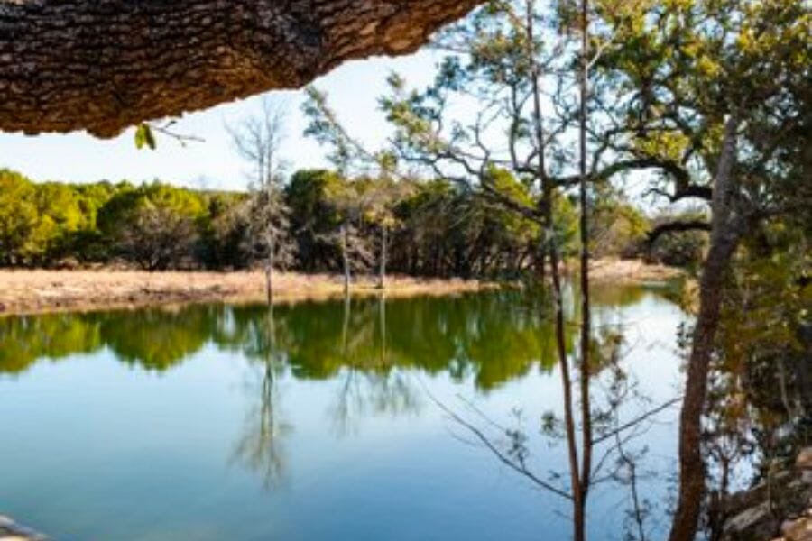 A view of the Little Lucy Creek and its surrounding trees