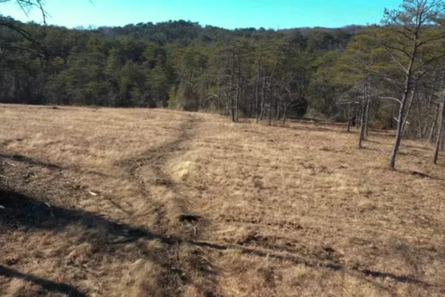 A look at the fields of the Bare Hills Historic District