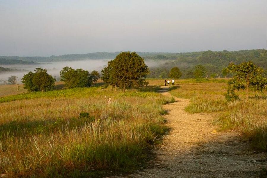 A stunning view of the fields of Soldier's Delight Natural Environment Area