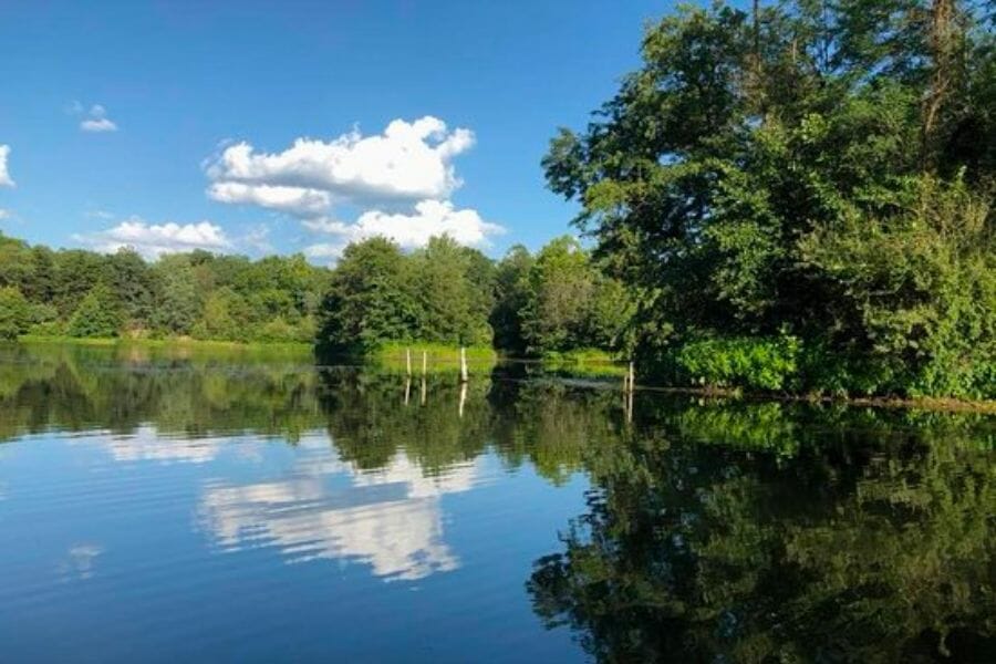 A look at the Finger Lakes State Park's waters and surrounding trees