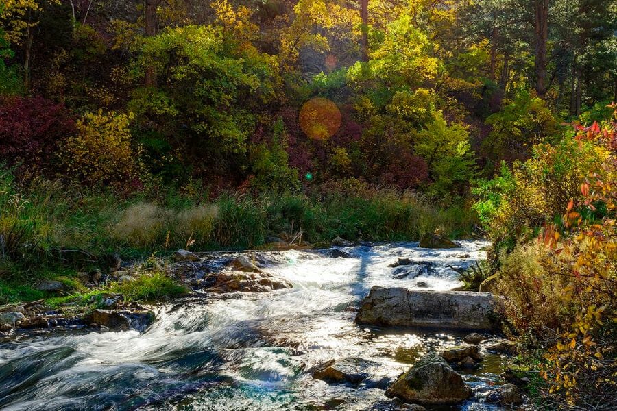 A stunning view of a creek at Lawrence County with lush greeneries surrounding it