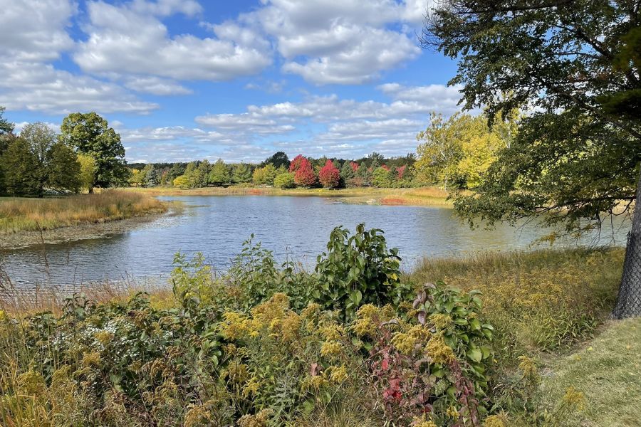 bend or a river among green trees