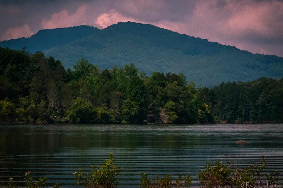 A view of the calm waters, greeneries and landscape of Shooting Creek