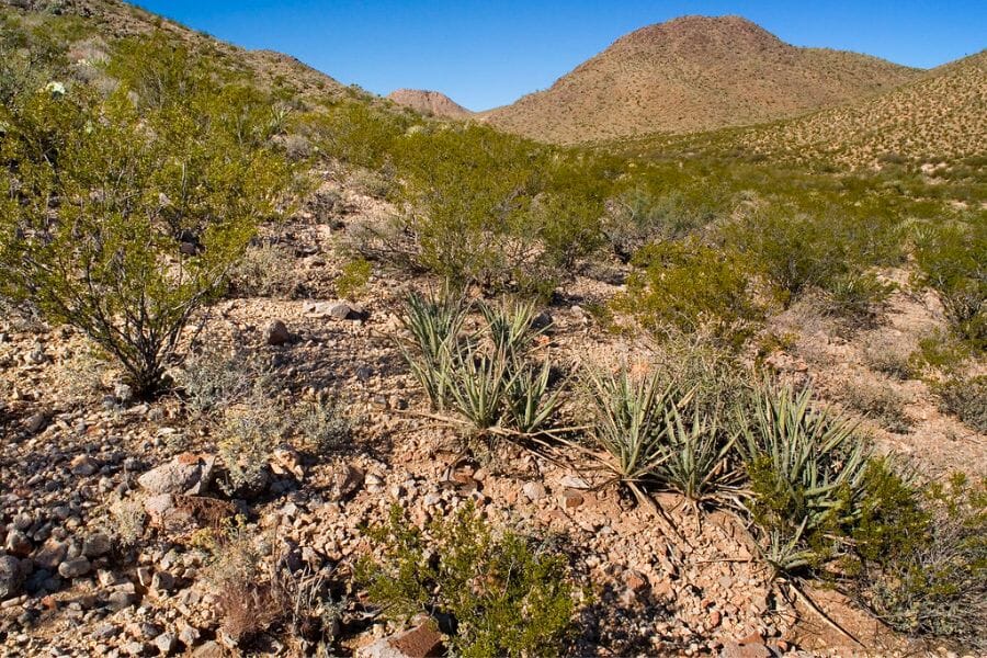 A look at the rugged terrain of the Jarilla Mountains