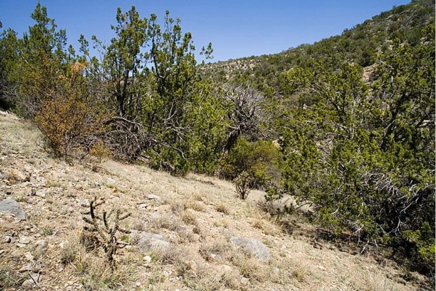 A close up look at one of the parts of Oscura Mountains