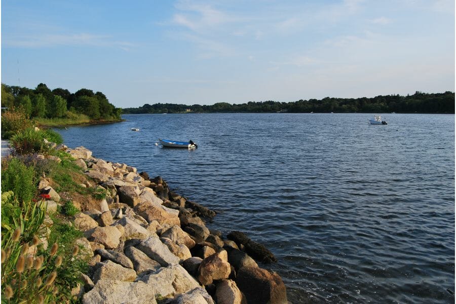 A lake with bedrocks and trees at Newport County