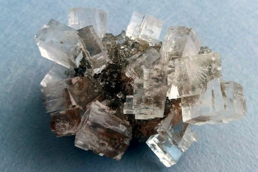 A bunch of transparent, rectangular and square-shaped Halite crystals attached to a rock