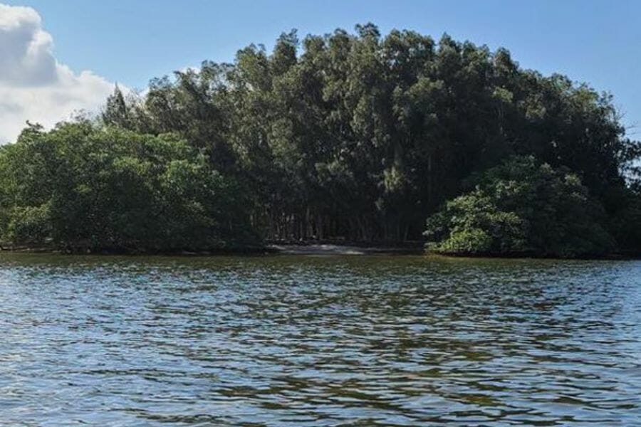 An area at Pasco County where crystals can be located