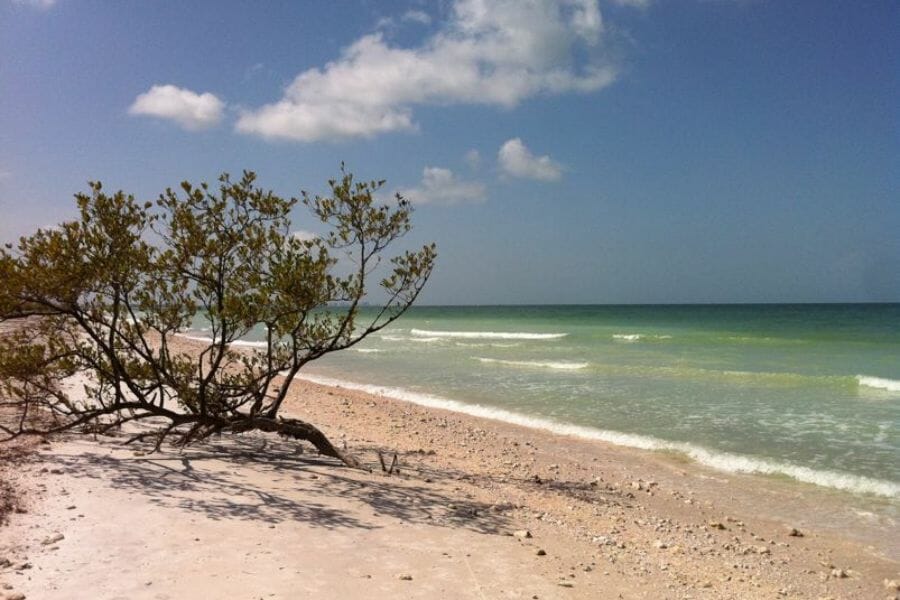 A picturesque view of a shore at Pinellas County