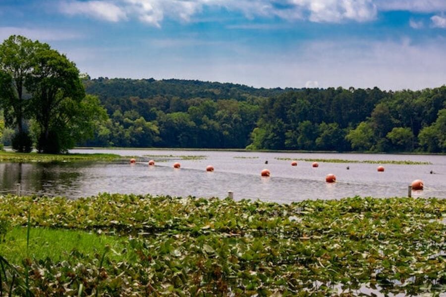 An area at Pope County where you can locate crystals