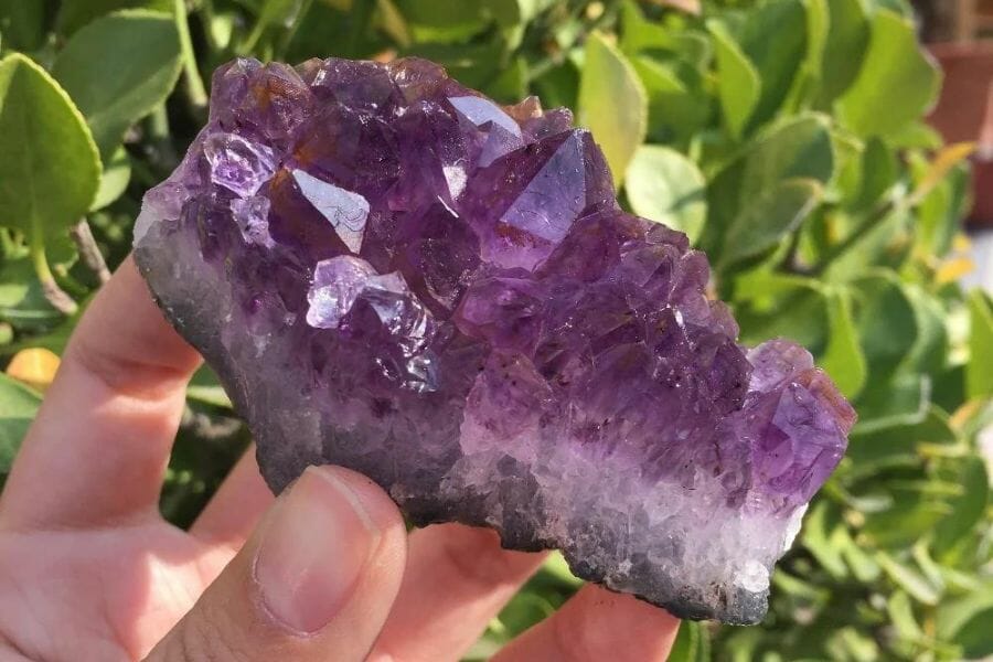 A pretty amethyst located at the Quitman Mountains