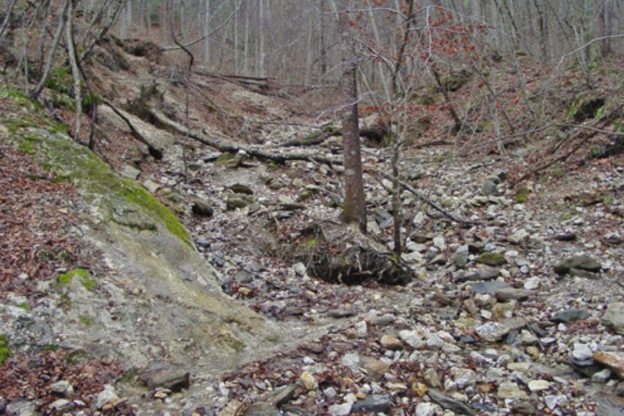 An area at Ray Mica Mine filled with various rocks and trees