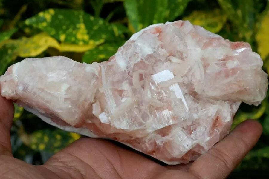 An enormous gorgeous stilbite with a nice pink hue and white crystals