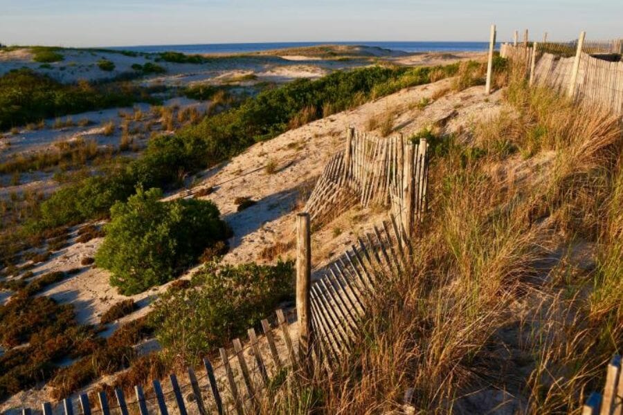 An area in Sussex County full of sand and lush greens where you can locate geode-like formations