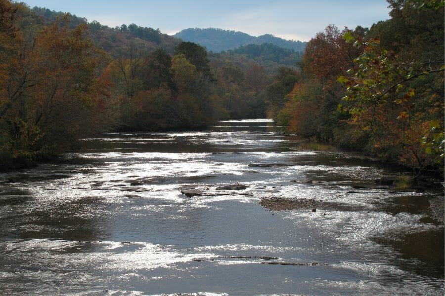 A look at the waters and surrounding trees at the Little Tennessee River
