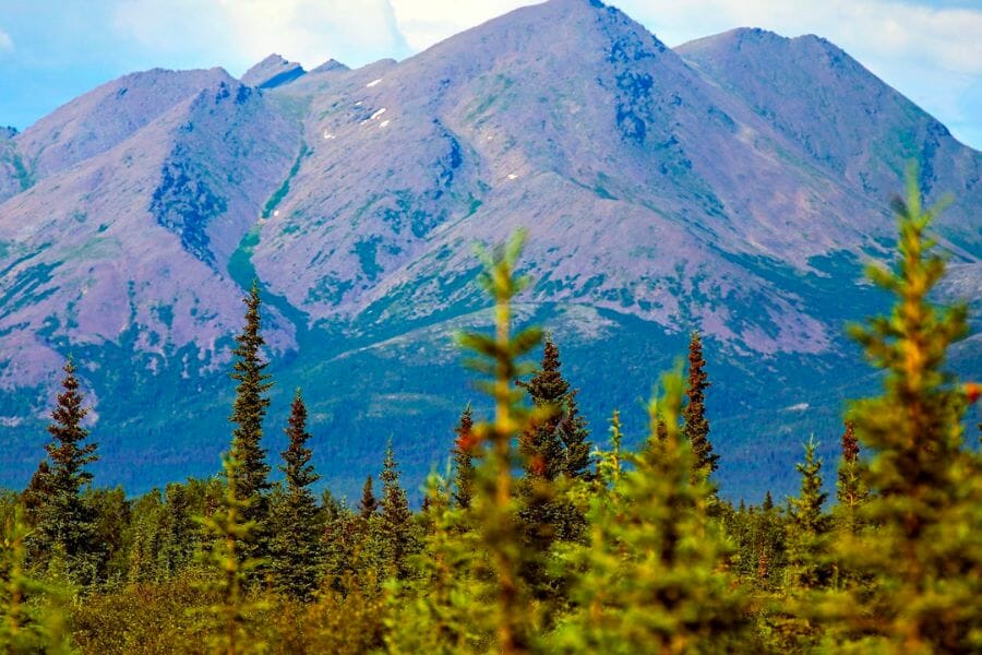 Wide view of the ranges of Jade Mountains foregrounded by trees