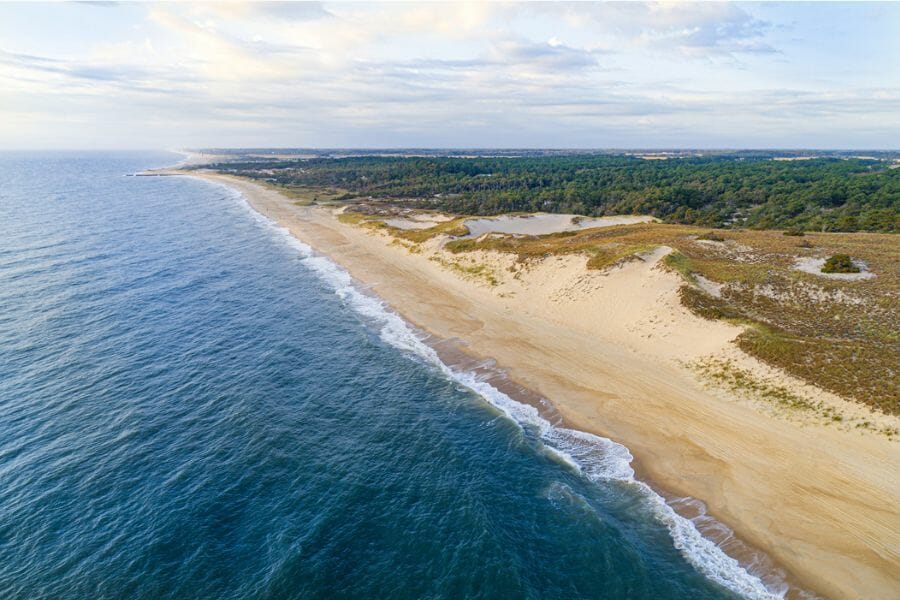 A picturesque aerial view of the cape Henlopen State Park
