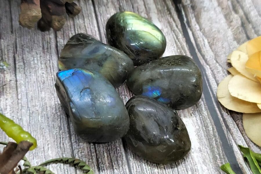 Five pieces of grayish black Labradorite with a metallic luster