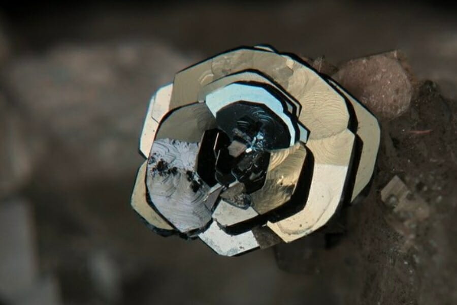 A black, shiny Iron Rose specimen resembling a rose's shape