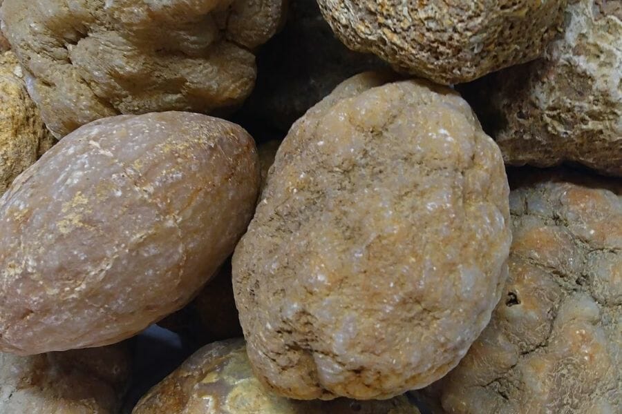 More plain and common geodes