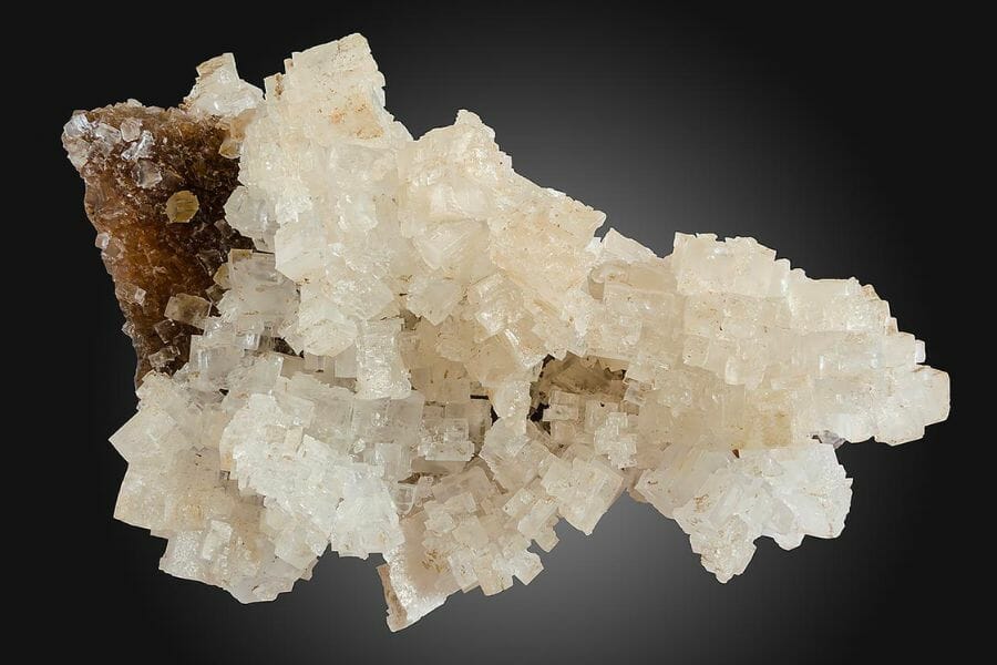 A cluster of white Halite crystals attached to a rock