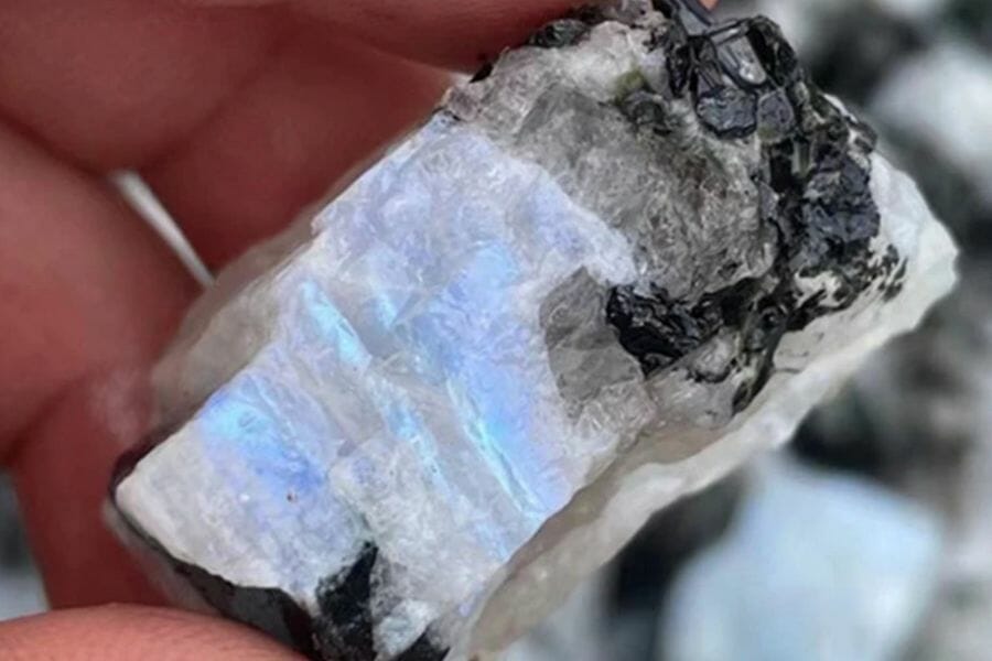 A gorgeous moonstone with black, gray, and iridescent hues