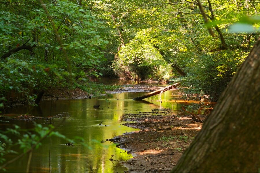A serene view of a stream running through the Lincoln County
