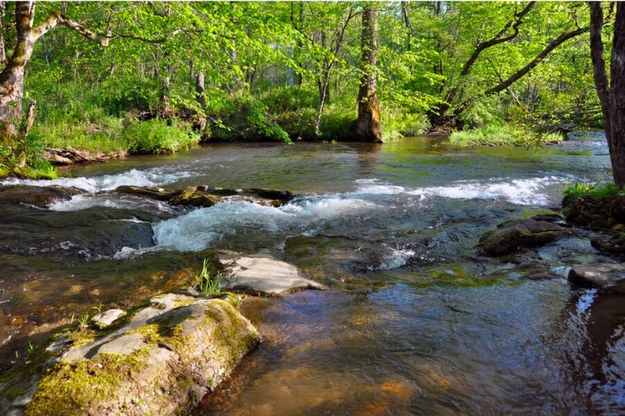 Running water at the Tessentee Creek