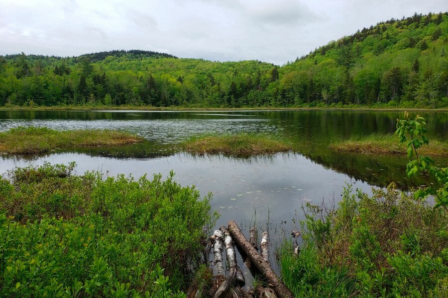 A look at the lush mountains and waters of Pillsbury State Park where Pillsbury Ridge is located