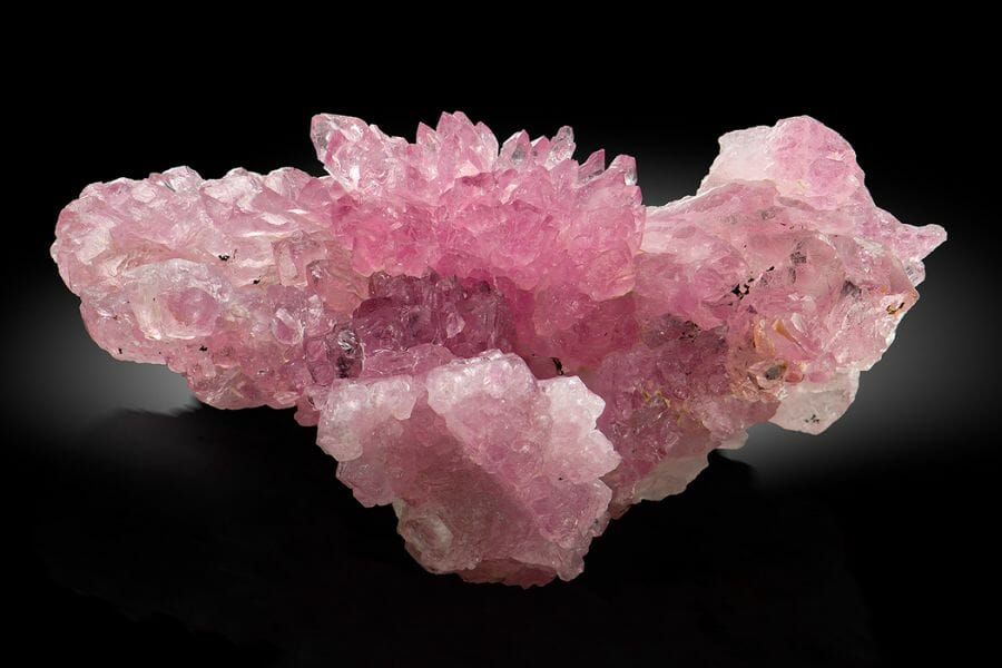 A stunning sample of a cluster of pink Rose Quartz