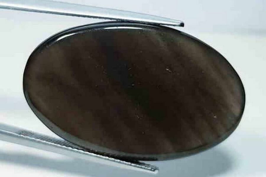 Appraising an oblong-shaped obsidian with a smooth surface