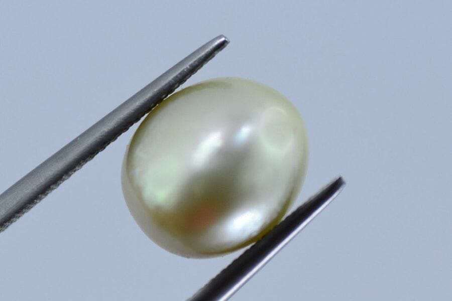 A magnified pearl during its appraisal