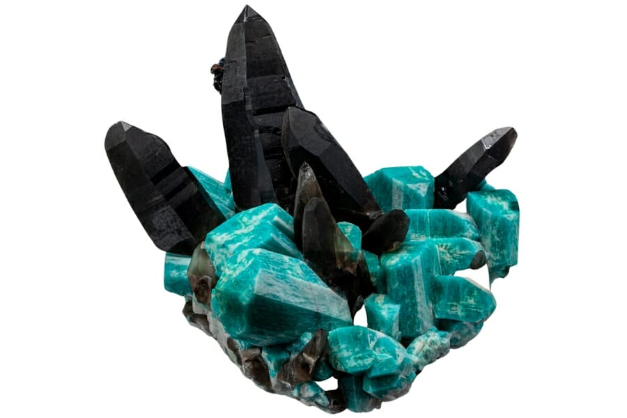 Deep black Smoky Quartz with bubblegum blue Amazonite crystals
