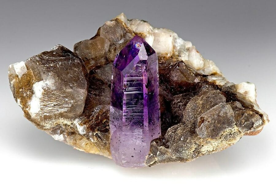 A stunning purple Amethyst crystal protruding from a neutral-colored rock