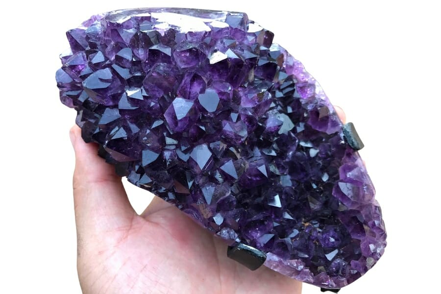 A hand holding a cluster of dark purple Amethyst crystals