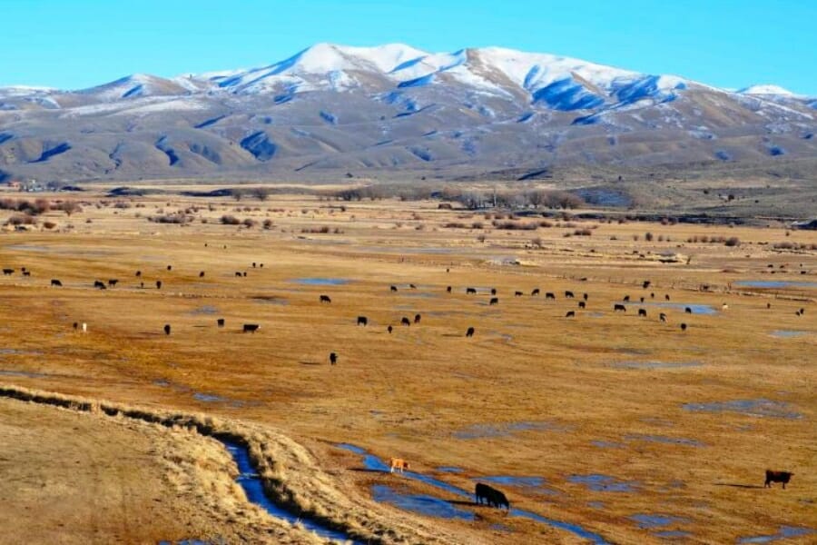 A wide view of the landscape of Antelope showing its wide bed and mountains