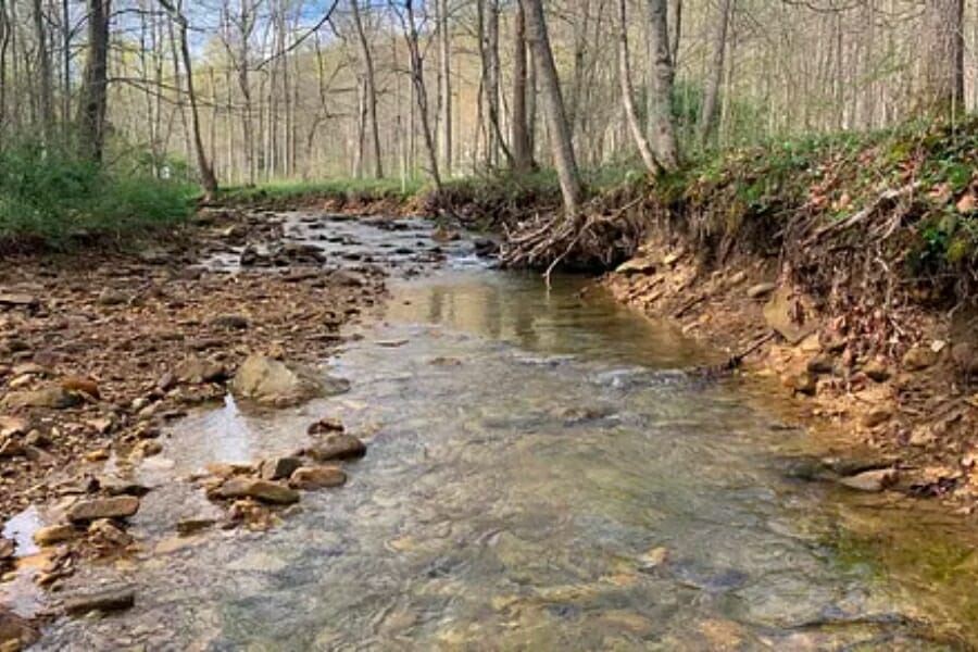 A shallow creek at Benton Township