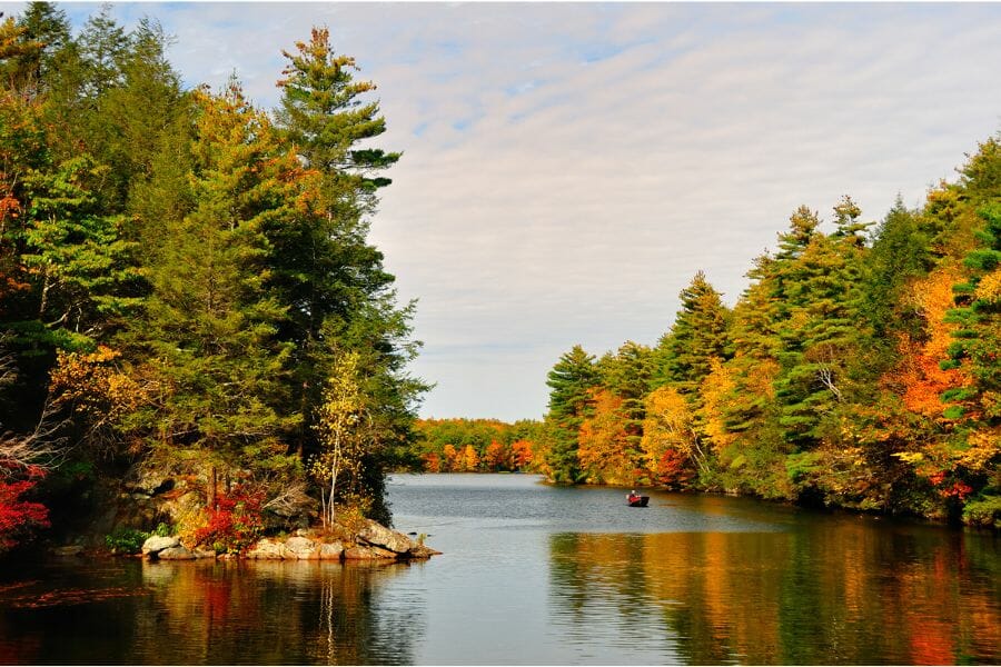 A picturesque view of Bigelow Pond surrounded by lush green trees