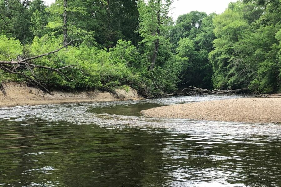 A flowing Black Creek where you can scout and look for various mineral specimens