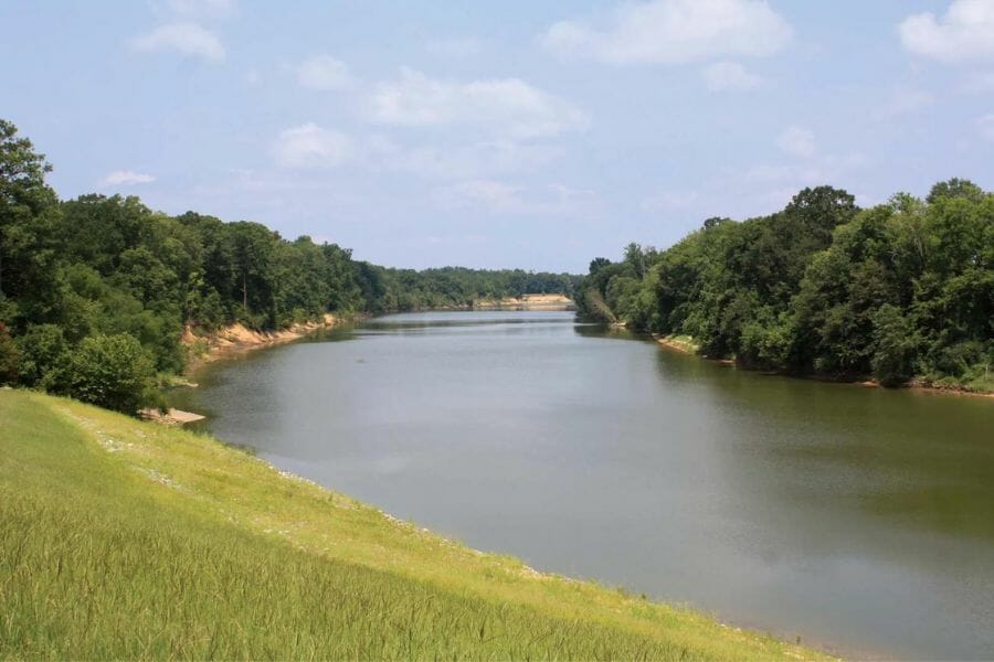 A tranquil and calm Black Warrior River surrounded by trees