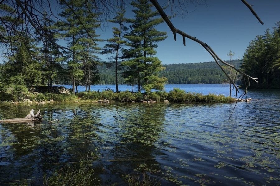 A tranquil area of the Brant Lake surrounded with trees