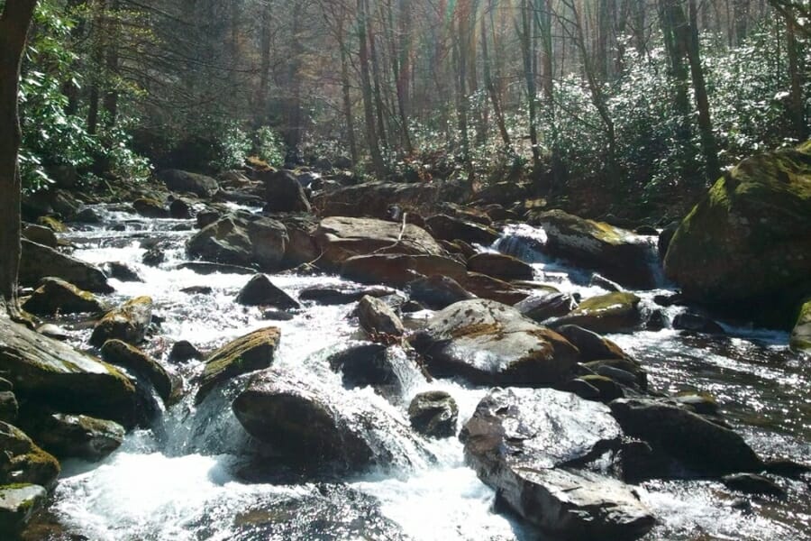 Stunning view of a creek in Burnsville