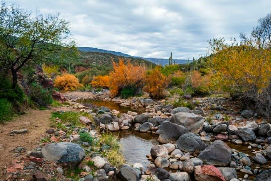 Close up look at one of the scenic areas in Cave Creek featuring a shallow creek