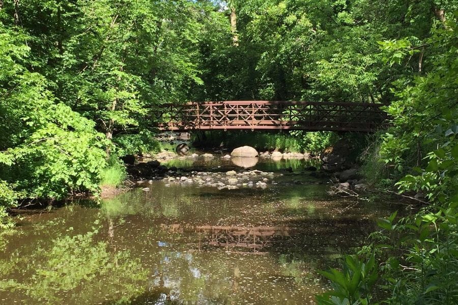 A river and a bridge surrounded by green trees at Charles Lindbergh State Park