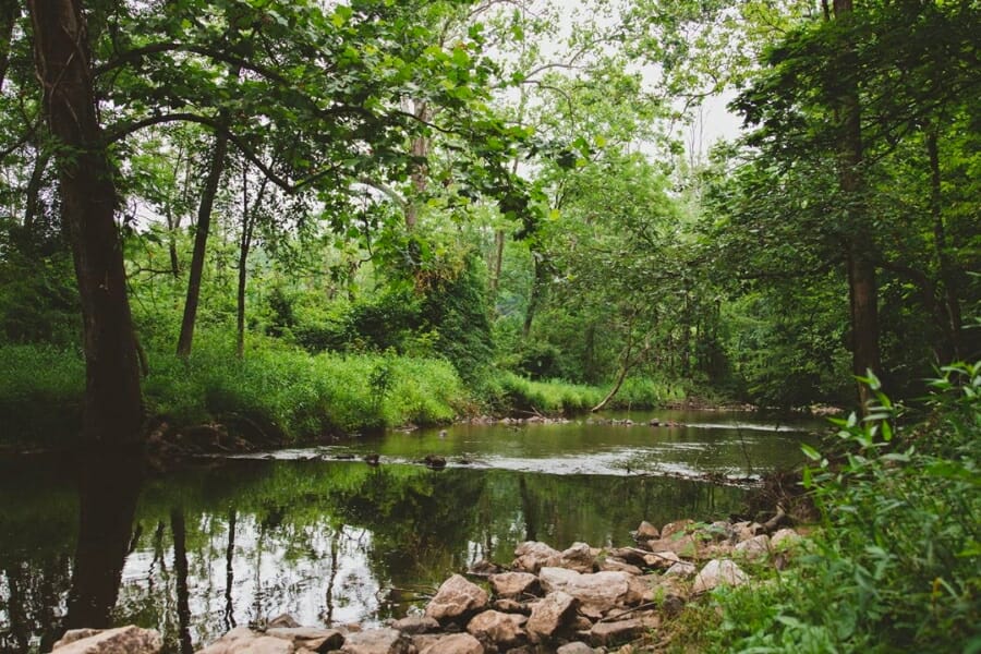 Serene view of one of the waterways in Chester County and its surrounding trees